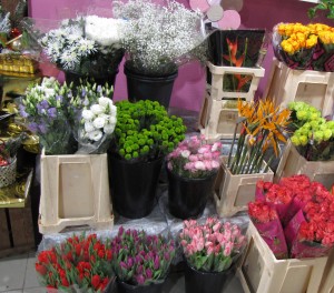fleurs Douai : large choix