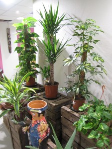 Plantes et objets décoratifs