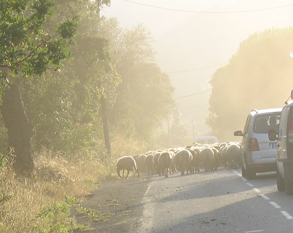 visiter en voiture